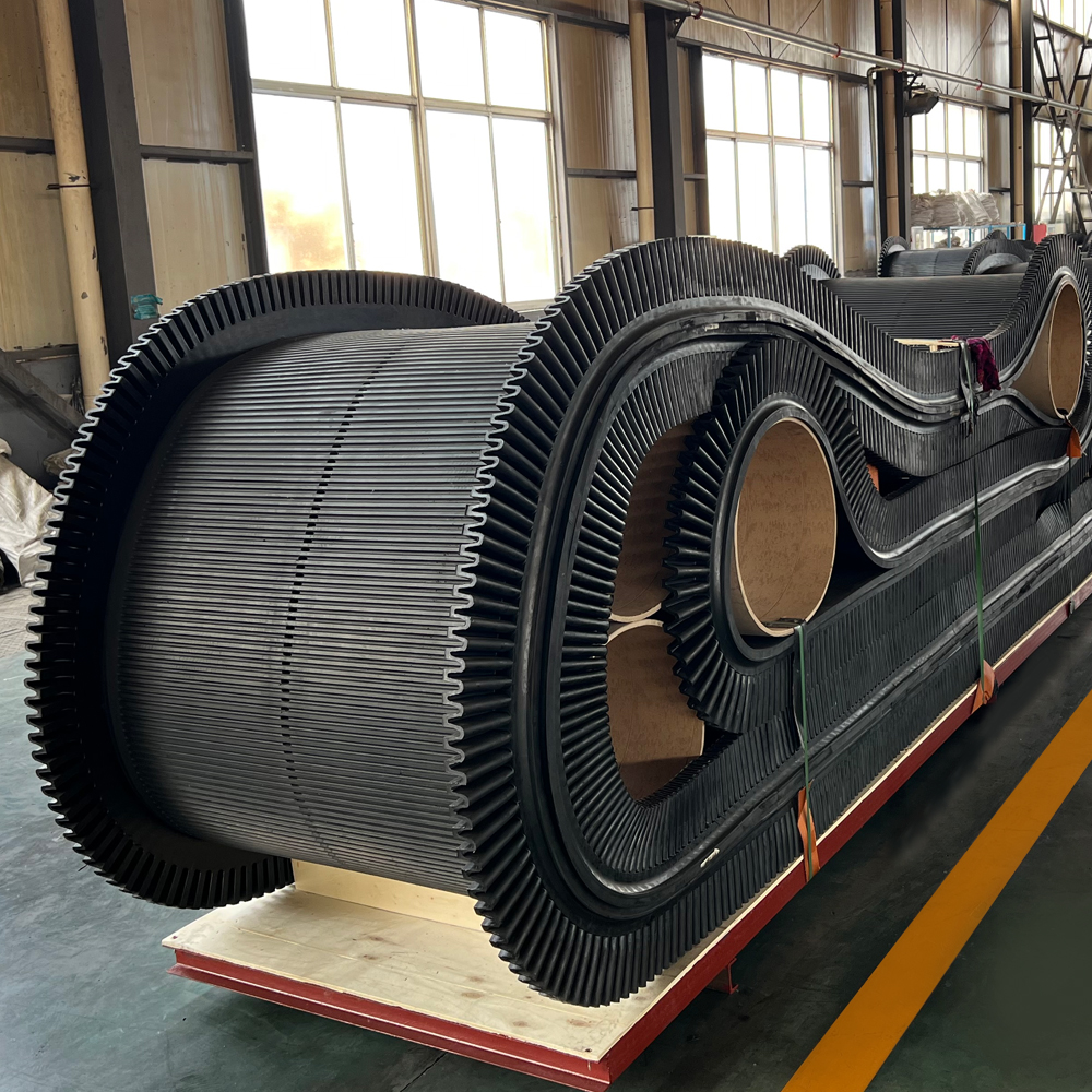 Vacuum Filter Belt