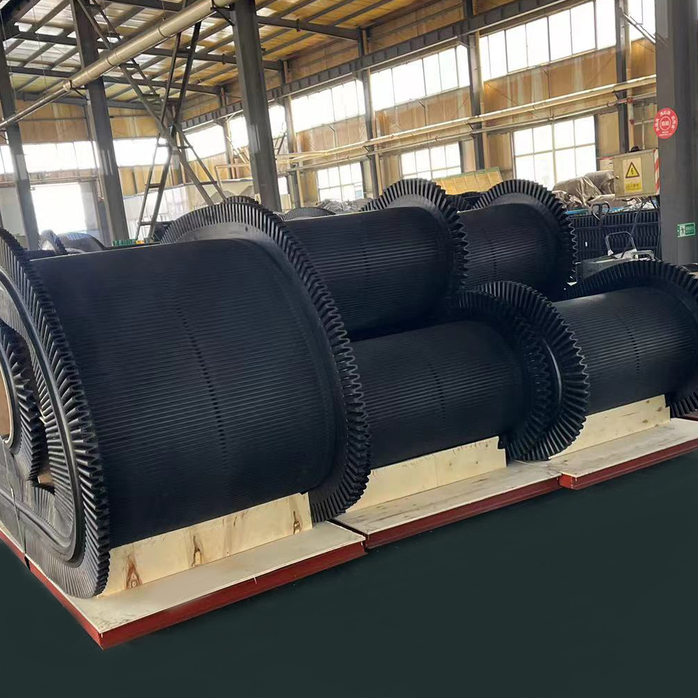 Vacuum Filter Belt